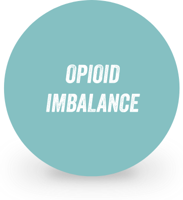 graphic with shadow blue opioid imbalance EN