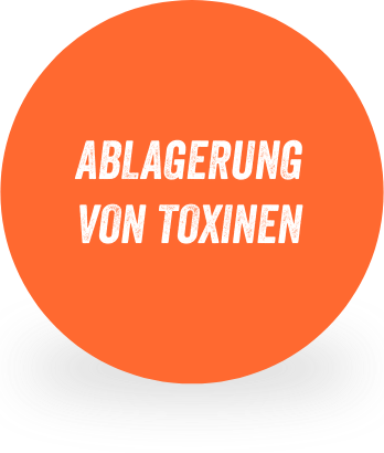 ABLAGERUNG VON TOXINEN