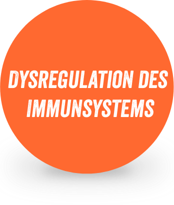 Dysregulation des Immunsystems