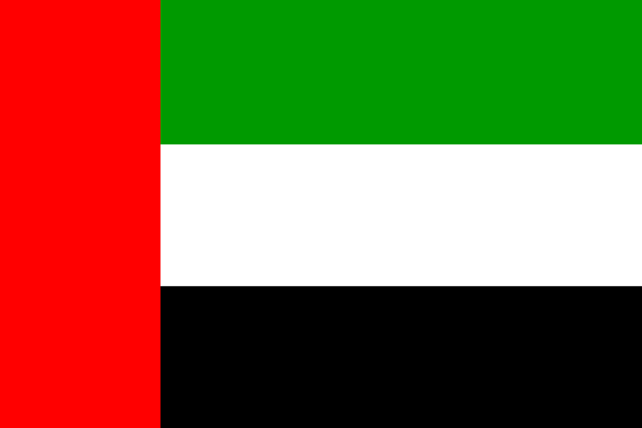 UAE flag